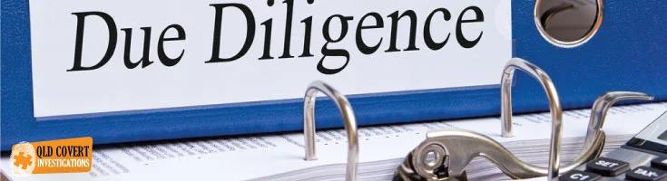 Due Diligence - Background Checks